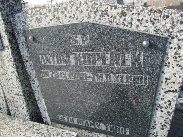 Dorota Krawczyk 1952 Kłobuck - Grobonet - Wyszukiwarka osób pochowanych