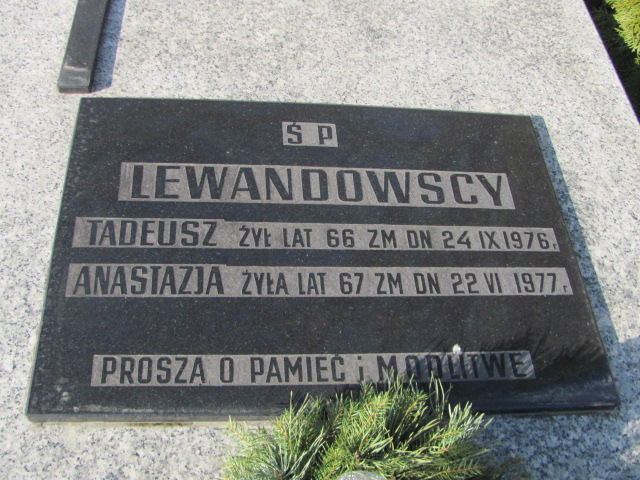 Grób Tadeusz Lewandowski